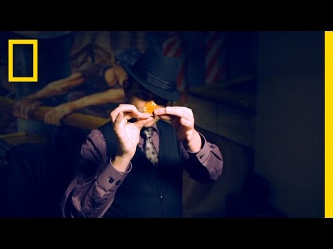 Apollo Robbins on Focus | Brain Games