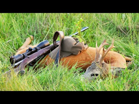 Ostpreußen ein Traum - 3 Böcke und Sau auf der Strecke