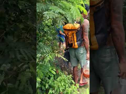 ang Tuba nga gamay #beach #nature