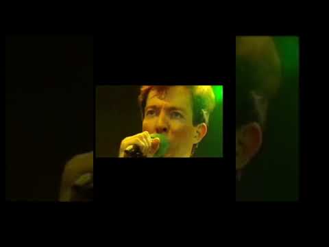 happy birthday Patita ¡¡¡¡