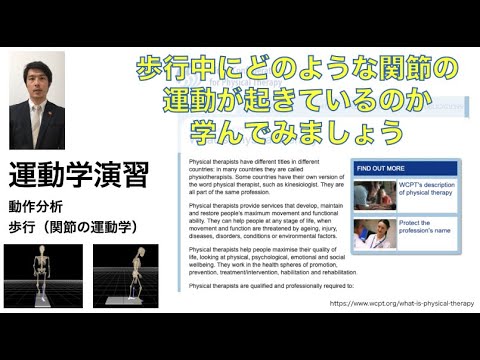 理学療法学科 【医療創生大学 健康医療科学部 理学療法学科 模擬授業】歩行（関節の運動学）