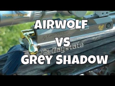 SHOOTOUT: Daystate Grey Shadow Vs Daystate Airwolf MCT - Air Rifle Test