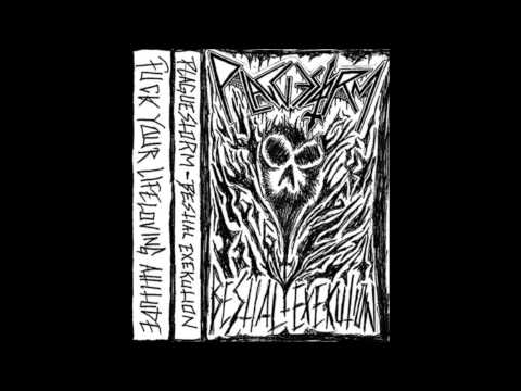 Plaguestorm (SWE) "Bestial Exekution" (First Demo - March 2014)