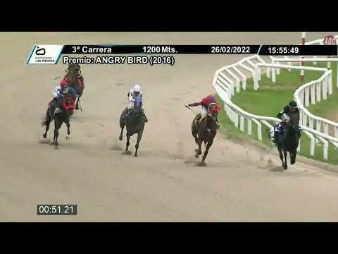220226 c03 - GRAND OCTANTE - HIPODROMO LAS PIEDRAS
