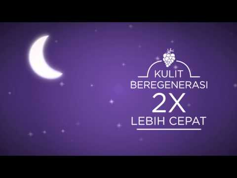 CITRA Night Whitening Body Lotion