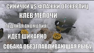 Рыбалка на озере никольское