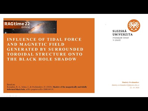 RAGtime 22 – D. Ovchinnikov: Influence of tidal force and mag. field onto the BH shadow