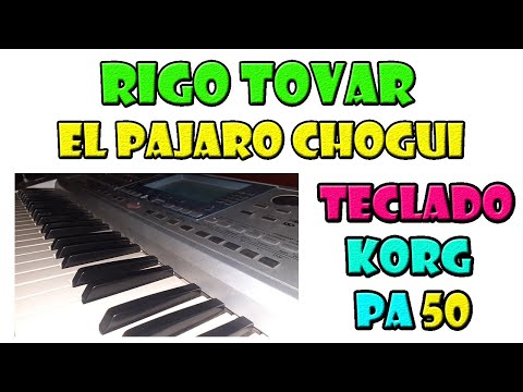 El Pajaro Chogui - Rigo Tovar