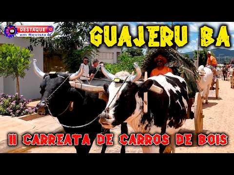 Carreata de Carros de Bois de Guajerú BA