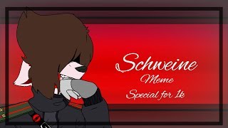 [MEME] schweine (special for 1k!)