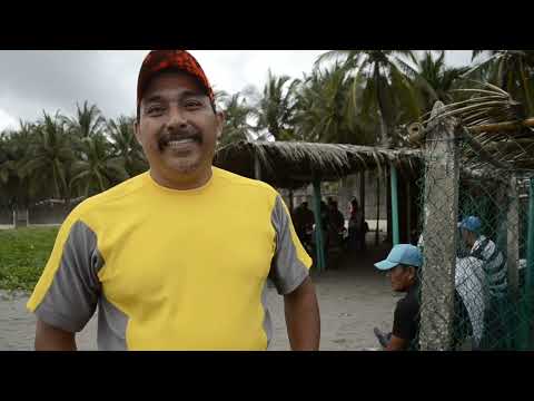 Save 60,000 Sea Turtles in El Salvador