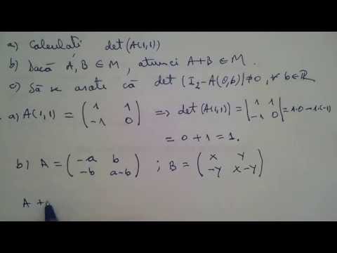 Subiecte Bacalaureat; SII-1 | Matrice, determinanti, operatii cu matrice.