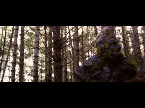 Little Oceans - Illuminated