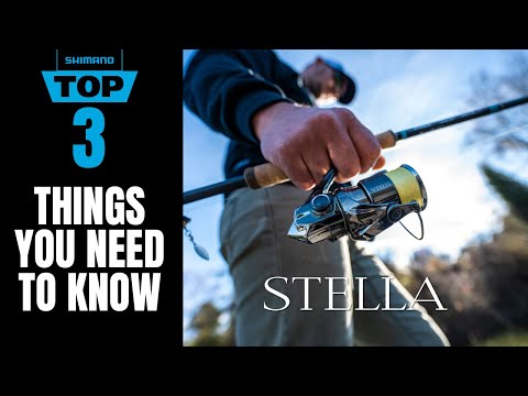 TOP 3 THINGS Y...