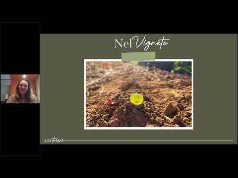 OENOTERRIS®  agro enologia ragionata