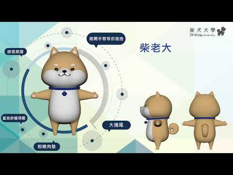 柴老大自我介紹(柴老大新聞台)
