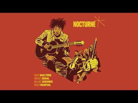 David Walters - Interlude (w/ Vincent Segal, Ballaké Sissoko & Roger Raspail) {Official Audio}