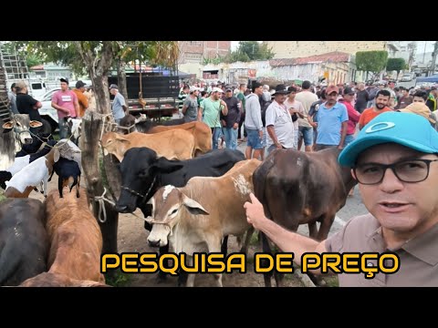 FEIRA DE ANIMAIS DE UMBUZEIRO PARAÍBA 29/08/2026 
