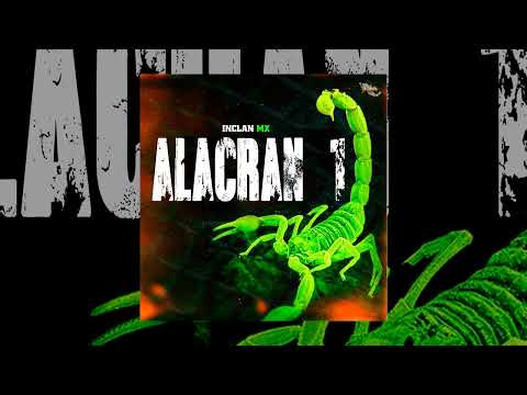 Hijos Del Golfo Alacrán 1 🦂