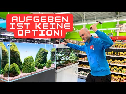 Motivationen und Ausstiegsgründe in der Aquaristik - Podcast im Videoformat