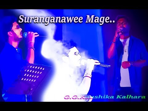 Suranganawee Mage - Kaushika Kalhara @ Wayamba University of Sri Lanka