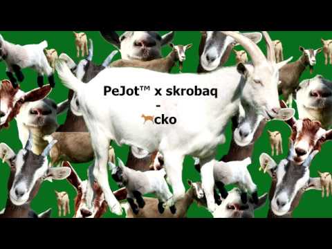 PeJot™ feat. skrobaq - 🐐cko (prod. boeuf)