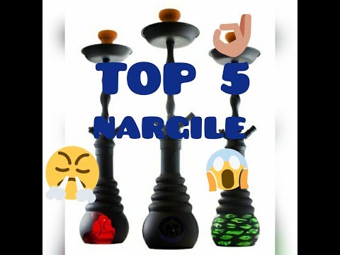 Top 5 kaliann top 5 nargile hoop o_o