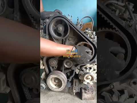 Polyurethane Belts