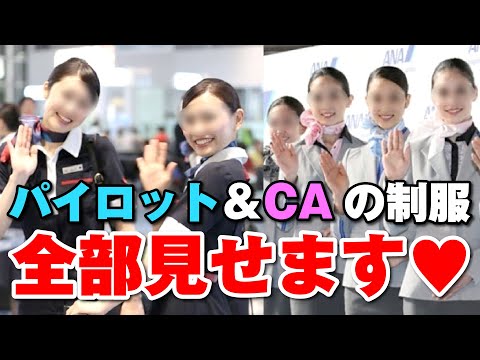 日本の航空会社18社の制服を徹底検証！一番のお気に入りは〇〇！