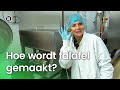 Hoe wordt falafel gemaakt? | Doen Ze Dat Zo?