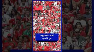 جماهير مغربية متفائلة بالفوز على الكاميرون وتوجه رسالة للركراكي thumbnail