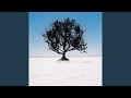Don't Cry Out (Album Version)