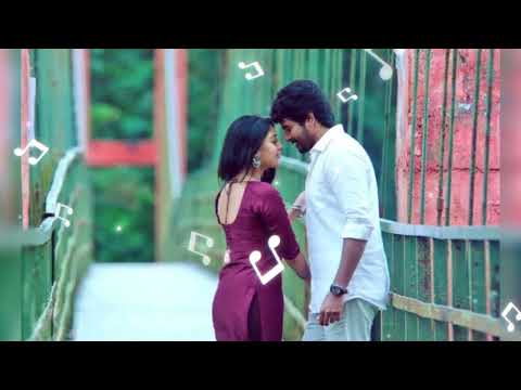 Mailaanji - Full Video Song | Namma Veettu Pillai | Sivakarthikeyan |Sun Pictures |Pandiraj |D.Imman