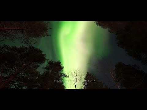 NORTHERN LIGHTS REALTIME A7S KALIX, SWEDEN