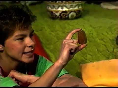 Fasolki - Kropelka złotych marzeń (Bursztynek)