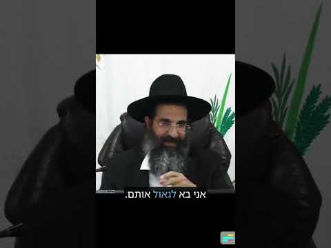 אַהֲבַת חִנָּם #shorts