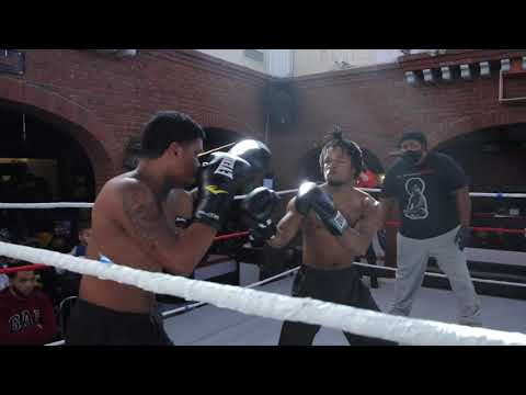 Will Taylor Vs Dang Dang