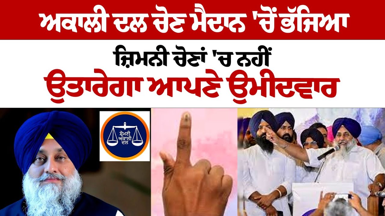 SAD not to contest Punjab By Elections 2024 SAD not to contest Punjab By Elections 2024