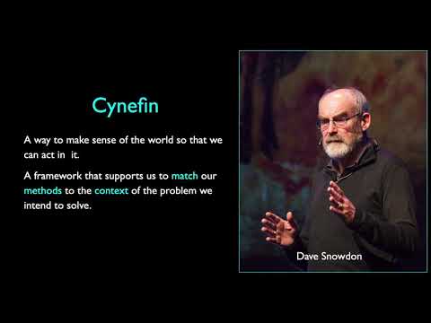 Leadership in Complexity - an Introduction to Cynefin - John O'Brien