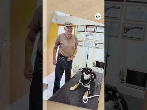 Vive en Córdoba y a los 82 años se recibio de veterinario
