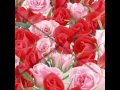 Кабриолет-Розы 