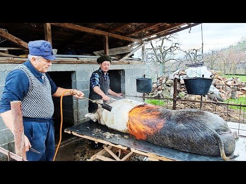 Preparing a 260 Kg Pig the Old-Fashioned Way | Peaceful Mountain Village Life in the Carpathian