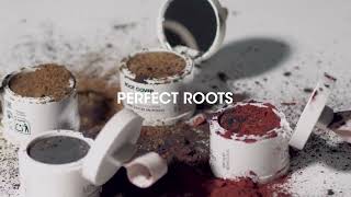 Lendan Root Cover pudr pro zakrytí odrostů a šedin hnědý 4 g