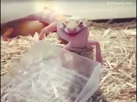 Cuando andas bien grifo y te agarra la sed