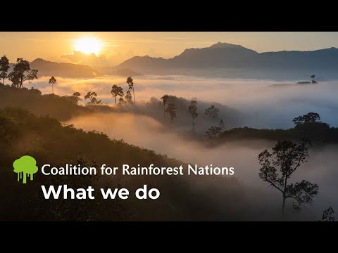 Conserve Rainforests and Suriname and Honduras