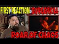 FIRST REACTION TO BURGERKILL - ROAR OF CHAOS | OldSkuleNerd Reacts