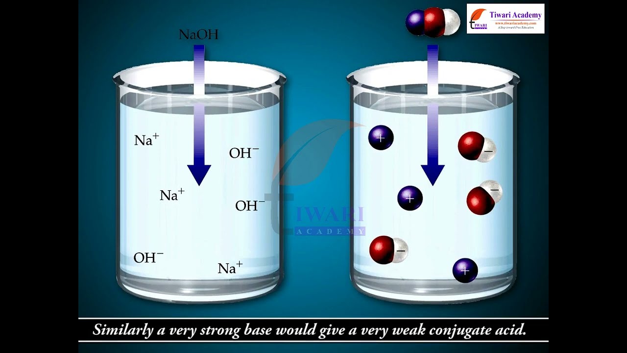 Class 11 Chemistry Ionization of Acids and Bases in Chapter 7 Equilibrium