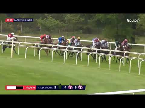 08/05 LA TESTE DE BUCH: WATHBA STALLIONS CUP - DJELFOR (3 ans)