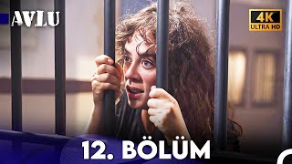 Avlu 12. Bölüm (4K)