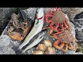 Epic Foraging Adventure!! Scallops, Crab, Big Lobster and More!!